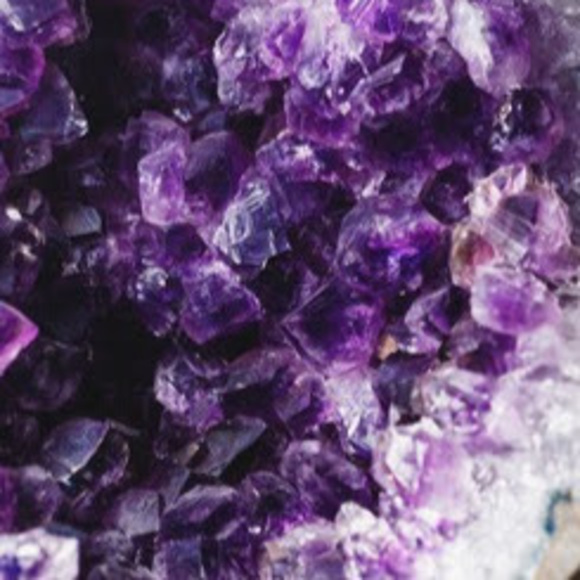 Meet your Posher, Taylor - Picture 1 of 1